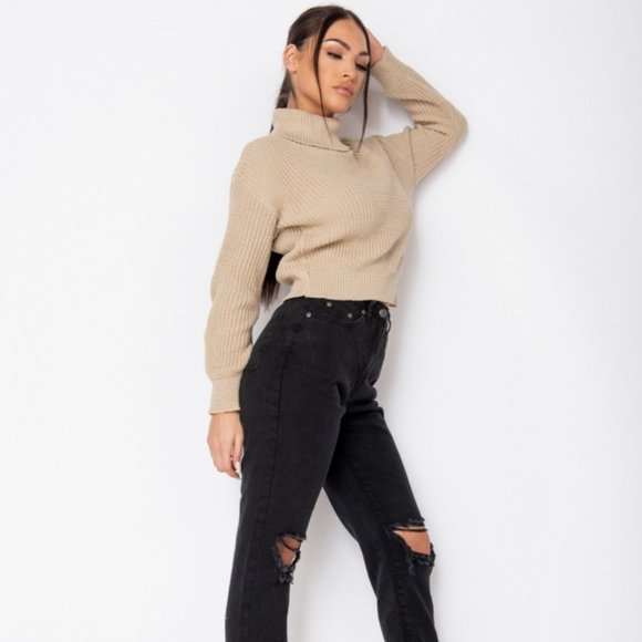 Beige Knitted Long Sleeve Turtle Neck Loose Fit Sweater Top - Picture 5 of 9